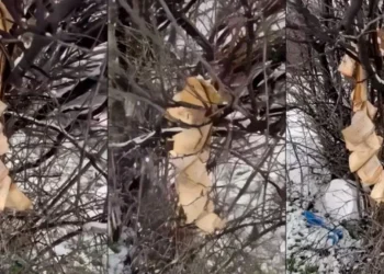 Dëmtohet Kurani në Gjakovë – policia nis hetimet