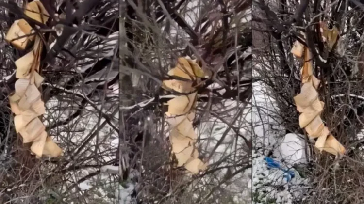 Dëmtohet Kurani në Gjakovë – policia nis hetimet