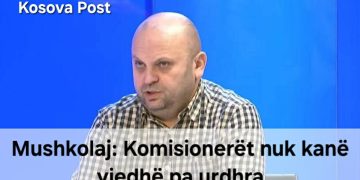 Mushkolaj: Komisionerët nuk kanë vjedhë pa urdhra