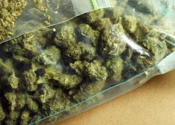 Aksion i madh në Maqedoni, sekuestrohen 35 tonë m@rihuanë