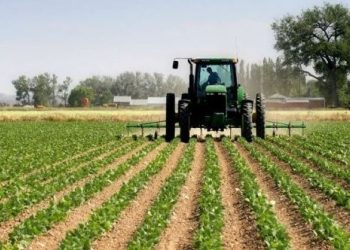 95.7 milionë € për mbështetje të bujqësisë, pylltarisë dhe zhvillimit rural