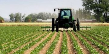 95.7 milionë € për mbështetje të bujqësisë, pylltarisë dhe zhvillimit rural