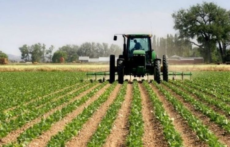 95.7 milionë € për mbështetje të bujqësisë, pylltarisë dhe zhvillimit rural