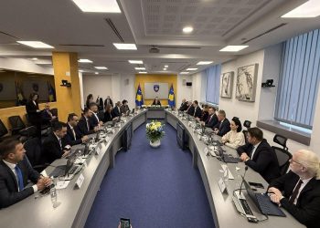 Kurti: Për Kosovën janë flijuar breza ndër shekuj