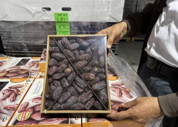 Hurmat izraelite dyshohet se shiten në tregun evropian me etiketa të ndryshme