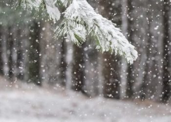 E diela e vranët e me reshje të lehta bore