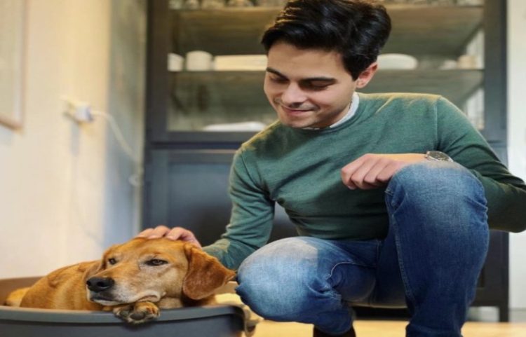 Kryeministri holandez adopton qen nga Kosova, e quan Muja