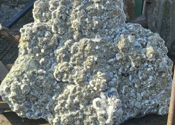 Nga nëntoka e Trepçës nxjerret një kristal madhështor
