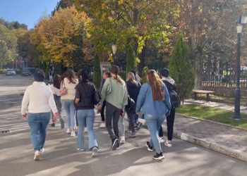 Nga Shqipëria ikën mbi 18 mijë të rinj brenda një viti