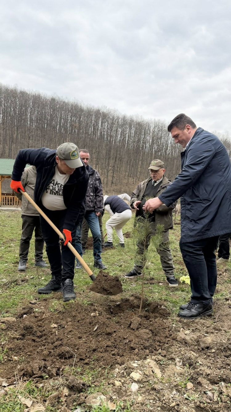 Ministri Muja në Ditën e Pyjeve: 500 mijë fidanë për institucionet dhe qytetarët