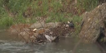 Hedhja e mbeturinave dhe ujërat e zeza ndotin lumenjtë