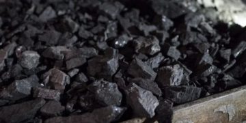 Gjashtë të arrestuar për nxjerrje ilegale të thëngjillit në Vushtrri