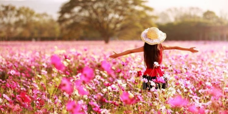 Nga sot fillon stina e pranverës