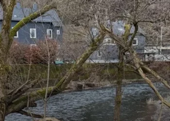 Tr@gjedi në Gjermani, vd@es 3 vjeçari disa ditë pasi ra në lumë – raportohet se është nga Peja