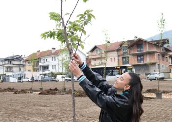 Shkollat Ndërkombëtare Maarif të Kosovës mbollën 50 fidanë në Ditën e Tokës