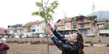 Shkollat Ndërkombëtare Maarif të Kosovës mbollën 50 fidanë në Ditën e Tokës