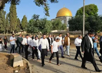 Kolonët izraelitë, sërish si pitbuj në Al Aksa
