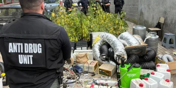 Prokuroria dhe Policia me komunikatë të përbashkët për aksionin në Jabllanicë: Sekuestrohen 91 bimë kanabisi, armë dhe arrestohet një person