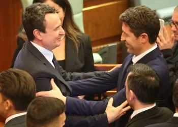Deputeti i LVV-së: Aktivistët tanë u dënuan, por jo edhe këŕcënuesit me jetë të Albin Kurtit