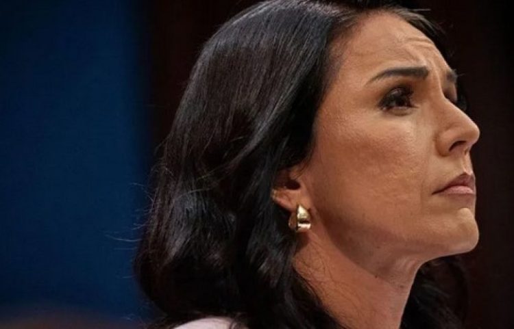 Gabbard do japë dorëheqjen si Drejtore e Inteligjencës Kombëtare të SHBA-së