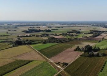 Prokuroria e Prizrenit siguron urdhëresën për ngrirjen e 42 pronave me vlerë rreth 3 mln euro