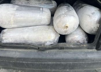 Dogana ndalon kontrabandimin e 200 kg mish në Glloboçicë