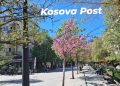 Parashikimi i motit për vikend