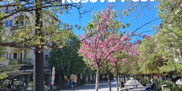 Parashikimi i motit për vikend