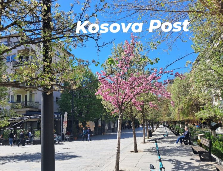 Parashikimi i motit për vikend