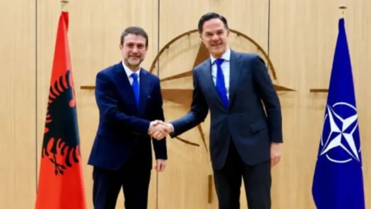 Hoxha takim me Rutte: NATO më e rëndësishme se kurrë, Shqipëria aleate e besueshme