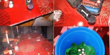 11 të arr*estuar për bíxhoz të kundërligjshëm në Pozheran të Vitisë