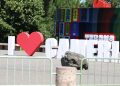 “Mos harro Çamërinë”, përkujtohet në Tiranë gje*nocidi ndaj çamëve