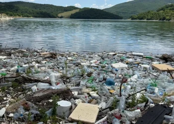 Ndotja pranë Liqenit të Badovcit ngre alarmin, kërkohen masa urgjente