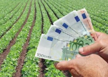 Hapet thirrja për aplikim për pagesat direkte në bujqësi