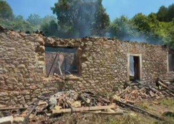 Begaj: Thellësisht i pikëlluar nga tr@gjedia në fshatin Domë