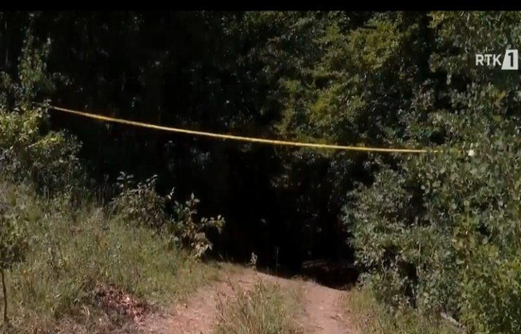 Zbardhen eshtrat e para në varrezën masive në Zubin Potok