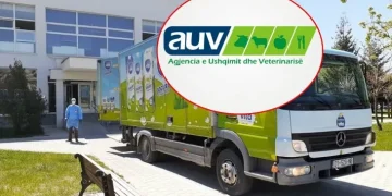 AUV del me sqarim: nuk e mbyllem Qumështoren Vita, në objekt inspektorët gjetën sasi të kosiderueshme vaj palme, qumësht pluhur e UHT