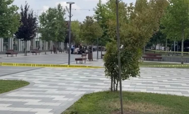 Përl*eshja e arm@tosur mes dajës dhe nipit: Zbulohet motivi i tentim vr@sjes në Llap