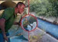 U rrezikua uji i pijshëm për 200 mijë banorë/ Personi që hodhi qumësht në Bistricë përballet me padi