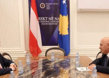 Gjini: Aleanca gati të kontribuojë për zhbllokimin institucional