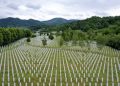 31 vjet nga masakra e Srebrenicës