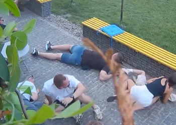 Sulmi rus pranë një kafeneje në Ukrainë, njerëzit kërkojnë strehim mes shpërthimeve (VIDEO)