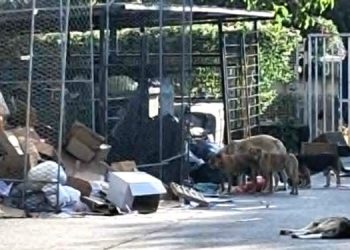 Spitali i Përgjithshëm në Pejë apelon për ndërhyrje urgjente: Problemi me mbeturinat po rrezikon funksionimin e institucionit