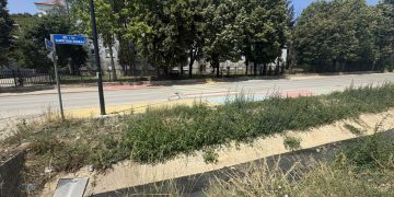Ujërat e zeza vazhdojnë të gëlojnë në lagjen Taukbahçp