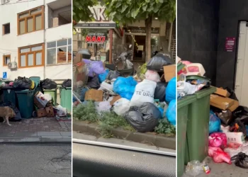 Mbeturinat e zhysin Pejën në kaos, kërkohet reagim i menjëhershëm