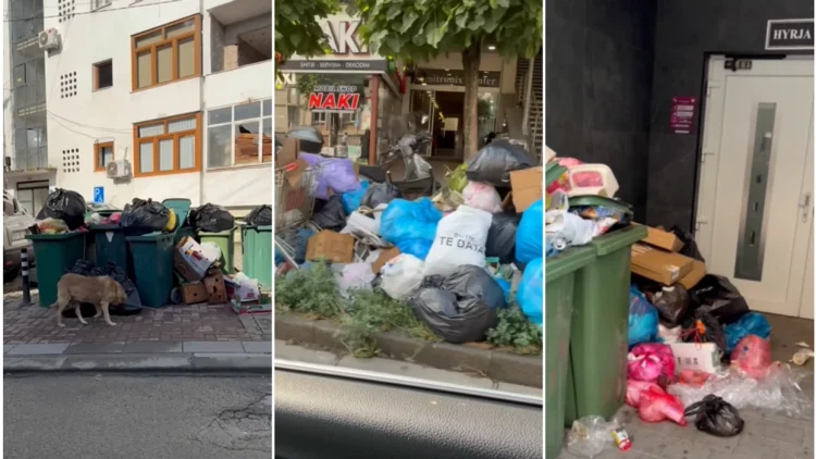 Mbeturinat e zhysin Pejën në kaos, kërkohet reagim i menjëhershëm