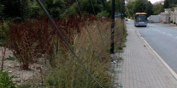 Qytetarët kërkojnë rregullimin e kabllove pranë Parkut të Gërmisë