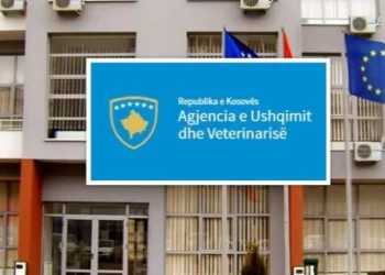 Reagon AUV: Analizat e qumështores “Vita” të marra në korrik janë ende në proces