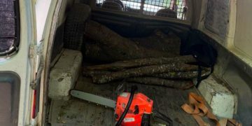 Policia zbulon prerje të paligjshme të pyllit në Kaçanik, konfiskohen motosharra