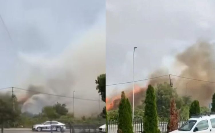 Stúhia dyshohet se shkaktoi zj@rr në Shirokë të Suharekës